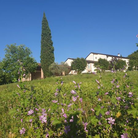 Agriturismo Relais Maddalene101 Vicenza Eksteriør bilde
