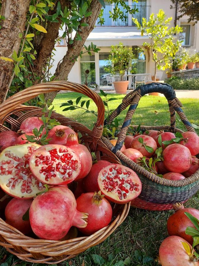 Agriturismo Relais Maddalene101 Vicenza Eksteriør bilde