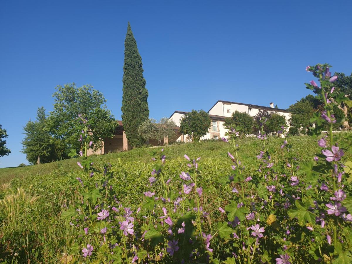 Agriturismo Relais Maddalene101 Vicenza Eksteriør bilde